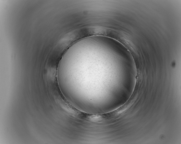 X0000091990189200709131502