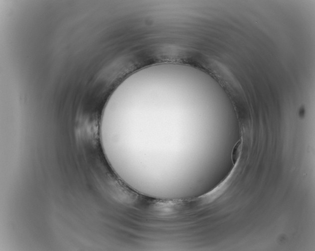X0000091990190200709131502