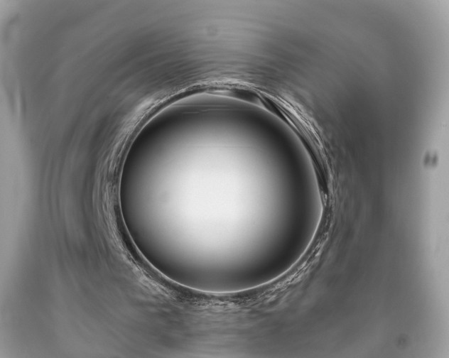 X0000091990193200709131501