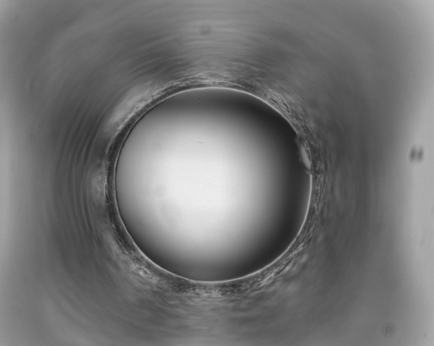 X0000091990194200709131501