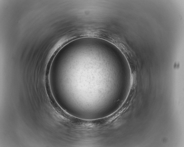 X0000091990195200709131501