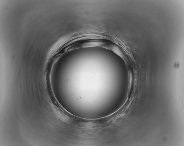 X0000091990197200709131501
