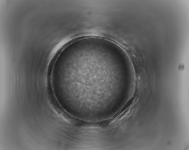 X0000091990200200709131501