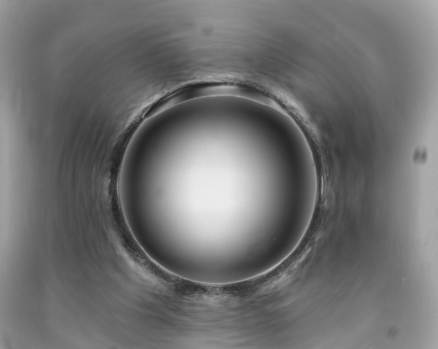 X0000091990201200709131501