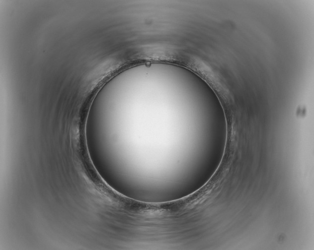 X0000091990202200709131501