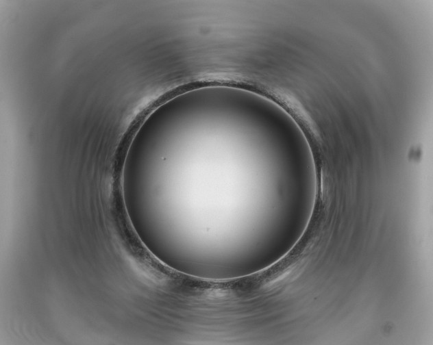 X0000091990204200709131501