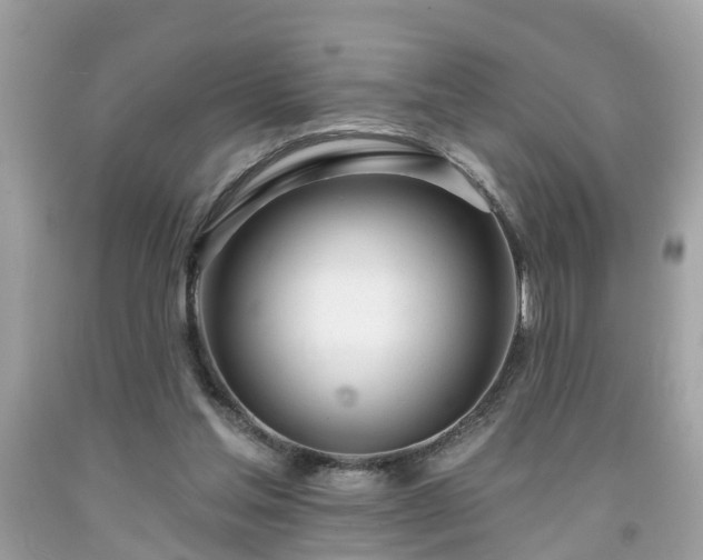 X0000091990205200709131501