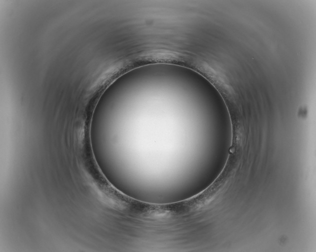 X0000091990206200709131501