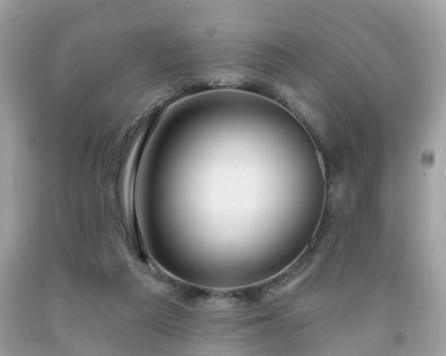 X0000091990209200709131501