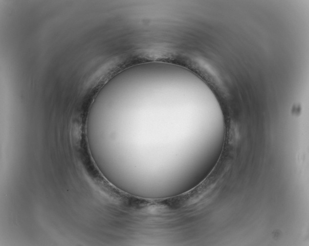 X0000091990210200709131501