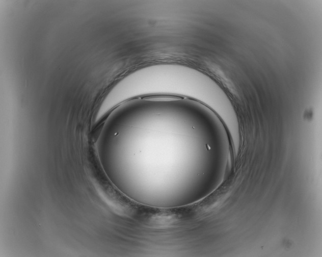 X0000091990213200709131501