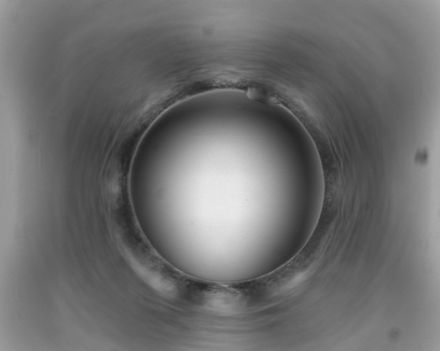 X0000091990215200709131501