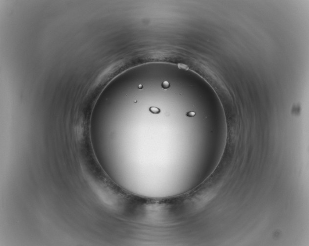 X0000091990216200709131501