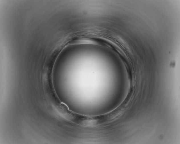 X0000091990217200709131501