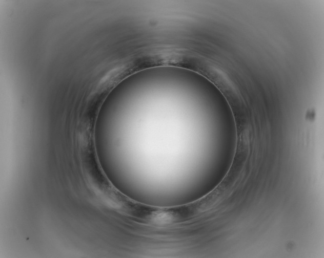 X0000091990218200709131501