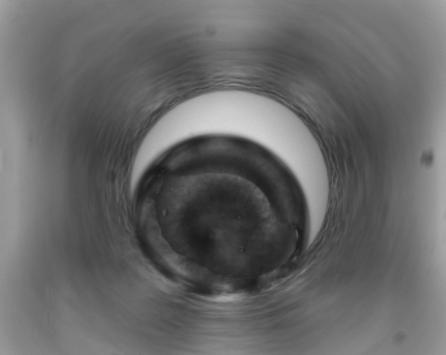 X0000091990219200709131501