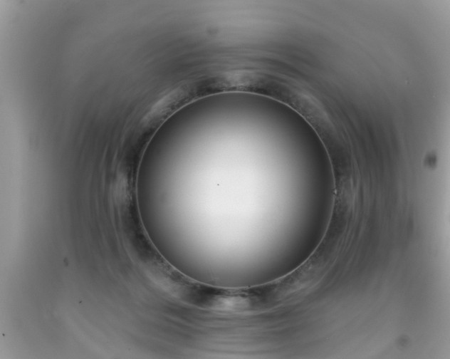 X0000091990220200709131501