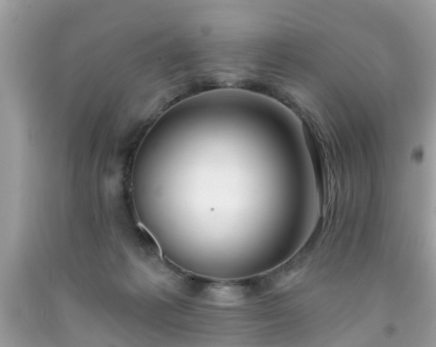 X0000091990221200709131501