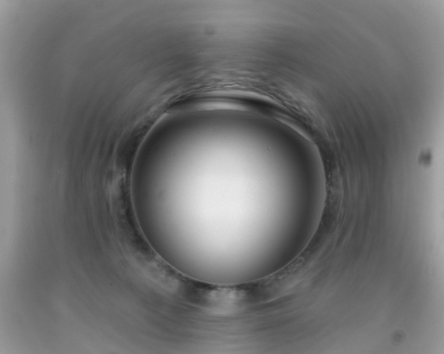 X0000091990225200709131501