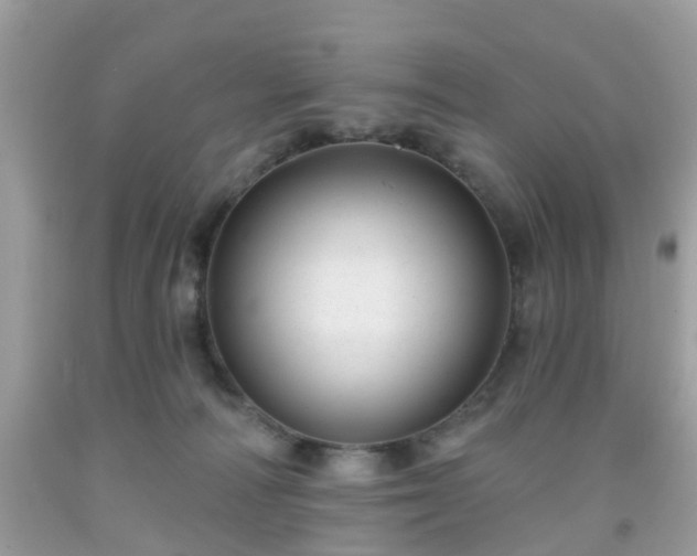 X0000091990226200709131501