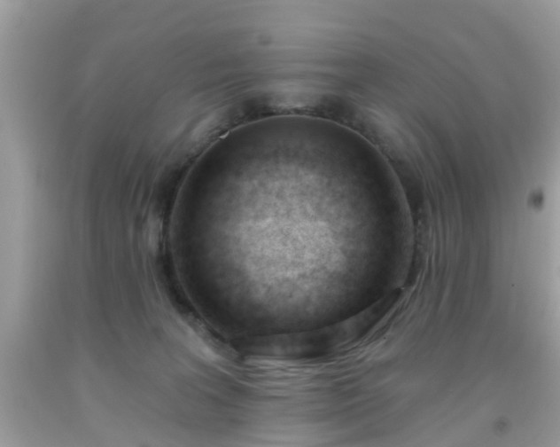 X0000091990227200709131501