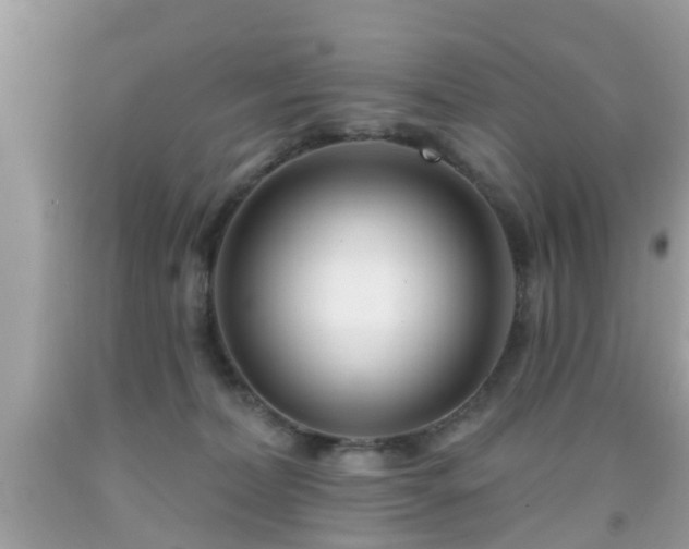 X0000091990228200709131501