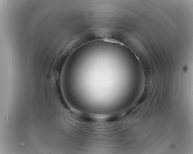 X0000091990229200709131500