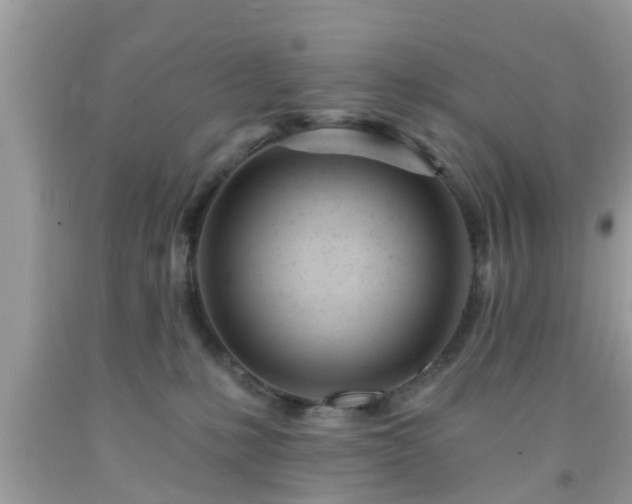 X0000091990231200709131500