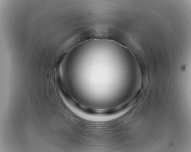 X0000091990233200709131500
