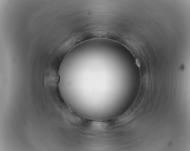X0000091990234200709131500