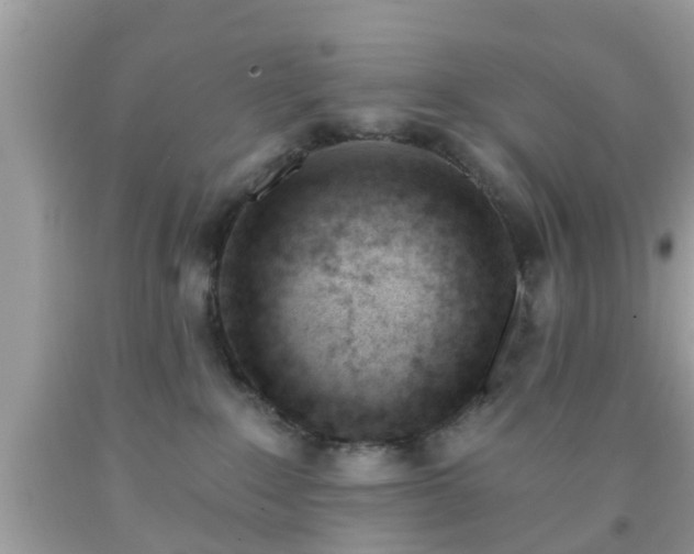 X0000091990235200709131500