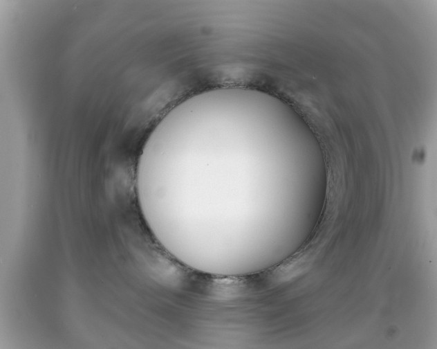 X0000091990240200709131500