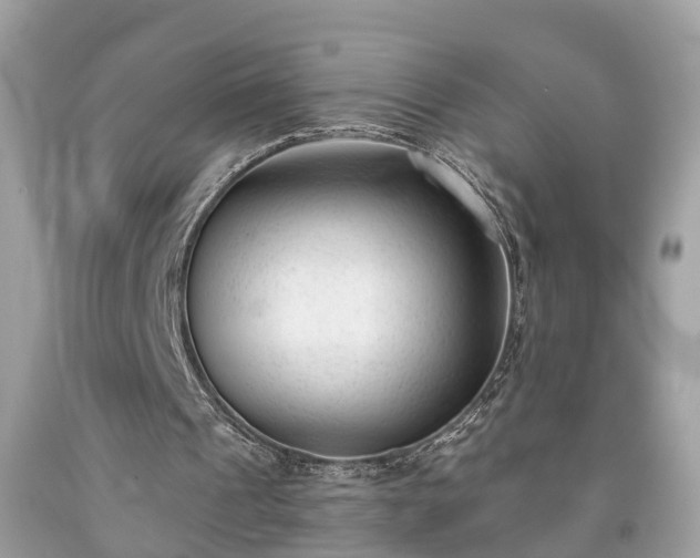 X0000091990241200709131500