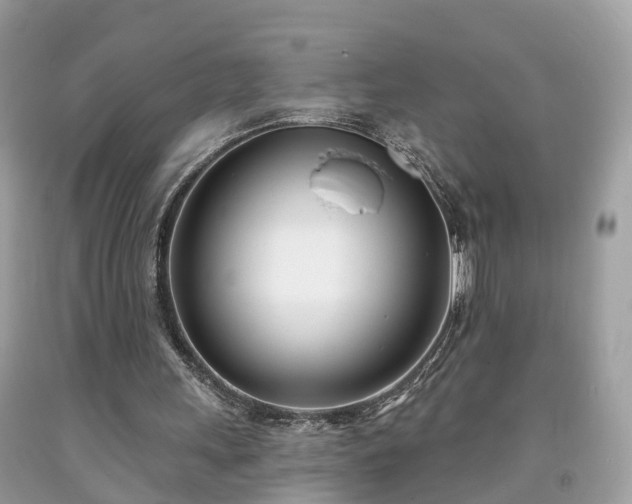X0000091990243200709131500
