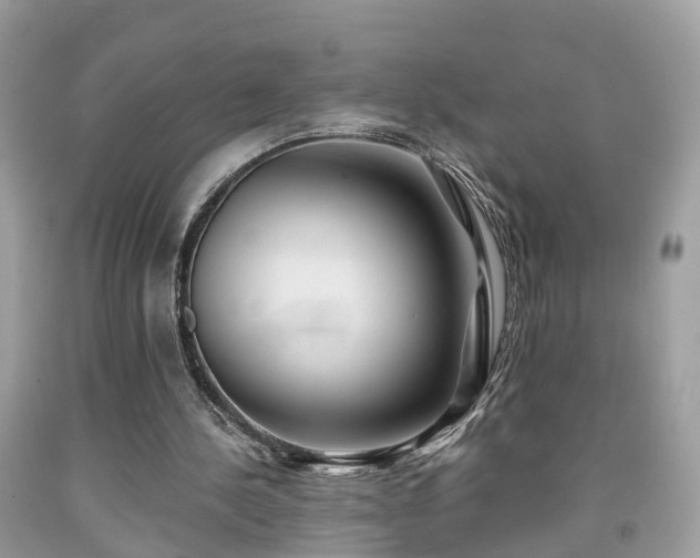 X0000091990244200709131500