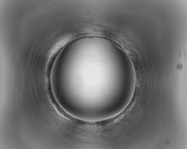 X0000091990245200709131500