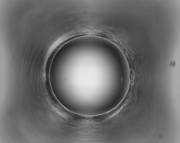 X0000091990246200709131500
