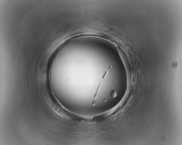 X0000091990247200709131500