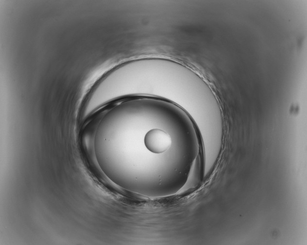 X0000091990248200709131500