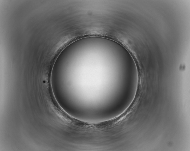 X0000091990249200709131500