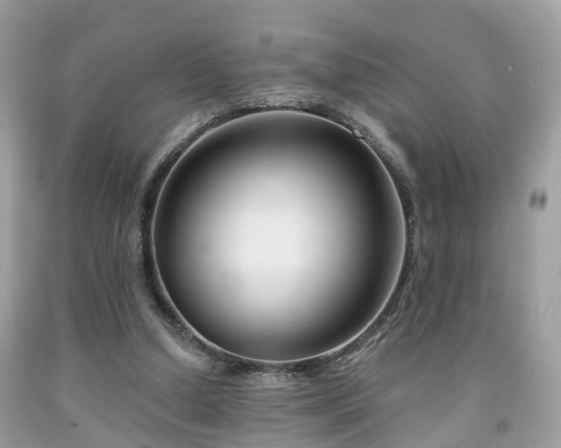X0000091990250200709131500