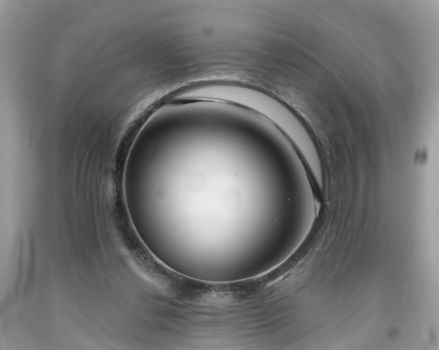 X0000091990252200709131500