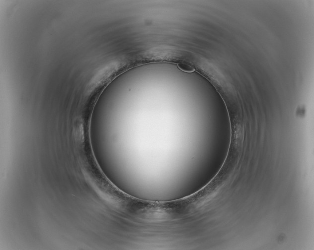 X0000091990254200709131500