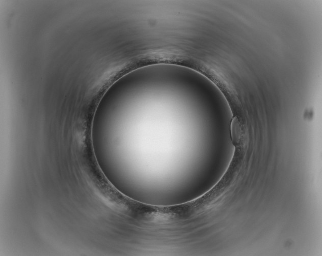 X0000091990255200709131500