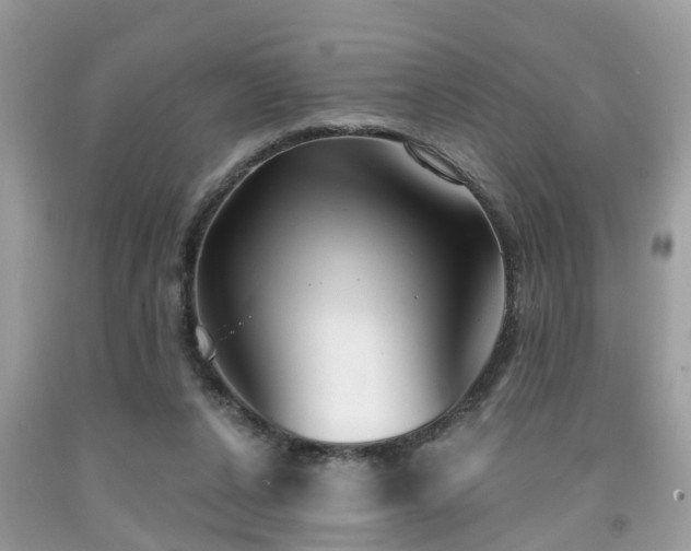 X0000091990256200709131500