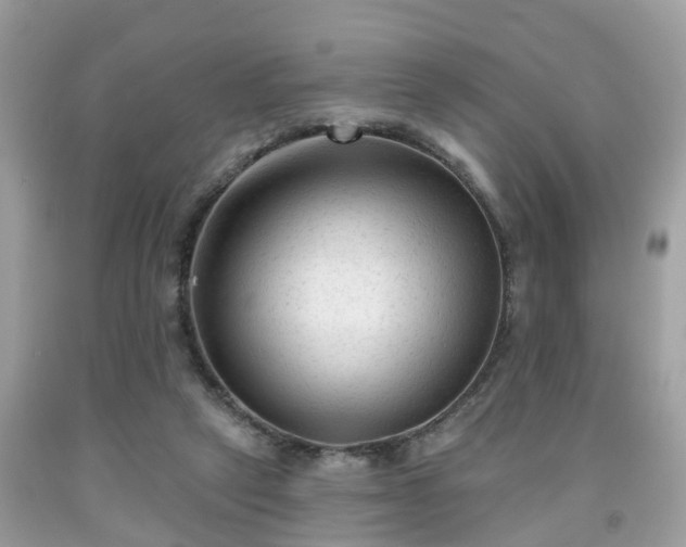 X0000091990257200709131500