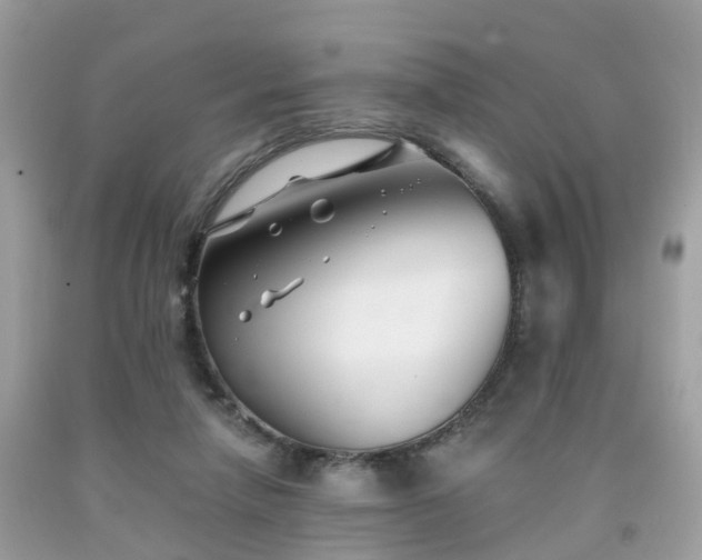 X0000091990258200709131500