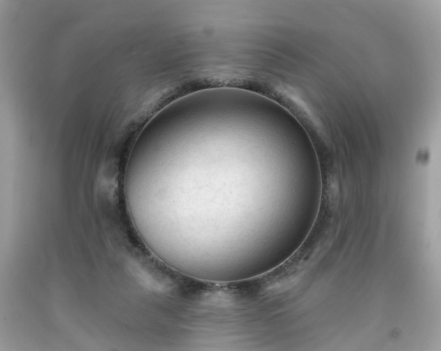 X0000091990259200709131500