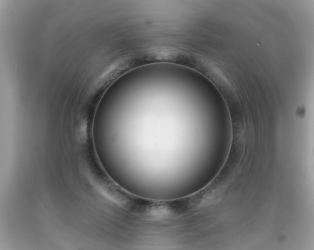 X0000091990262200709131500