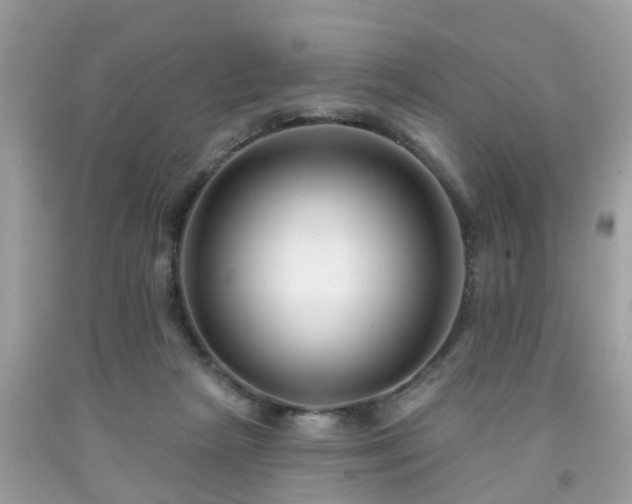 X0000091990265200709131500